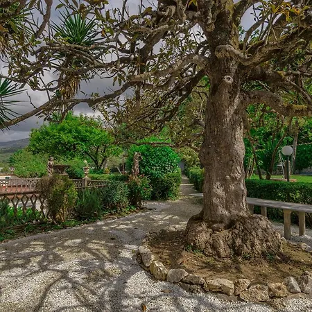 Antica Magnolia, Historical Retreat In Versilia